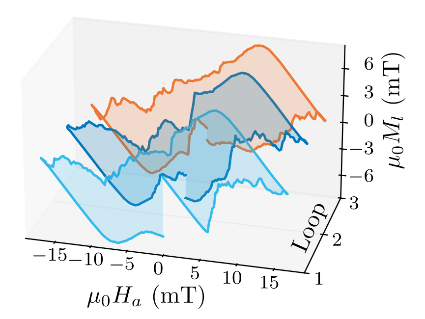preview_fern_arxiv_2025.png